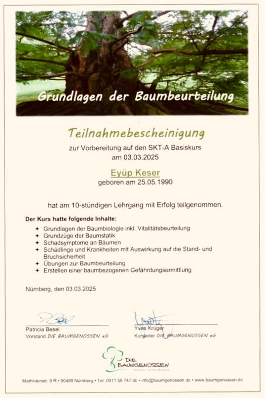 baumbeurteilung